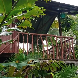 Sigiri Panaromic Tree House Farm stay Sigiriya
