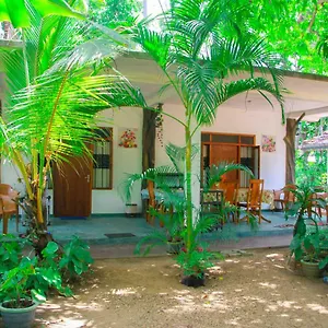 amba-sewana-homestay.kandyhotelsnow.com/